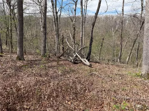 991 SE 976 Rd, Deepwater, MO 64740 photo 53