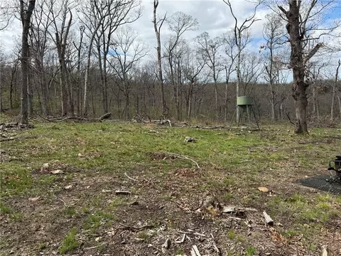 991 SE 976 Rd, Deepwater, MO 64740 photo 33