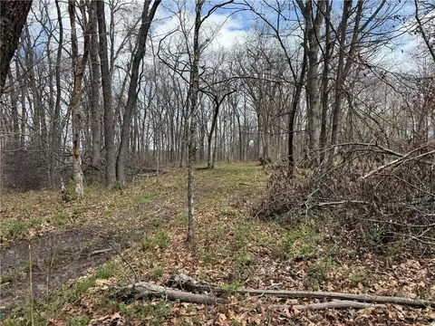 991 SE 976 Rd, Deepwater, MO 64740 photo 63