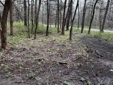 991 SE 976 Rd, Deepwater, MO 64740 photo 48