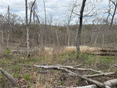 991 SE 976 Rd, Deepwater, MO 64740 photo 68