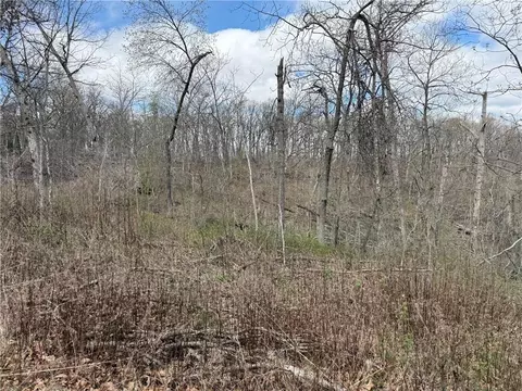 991 SE 976 Rd, Deepwater, MO 64740 photo 58