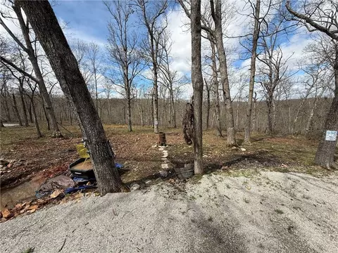 991 SE 976 Rd, Deepwater, MO 64740 photo 42