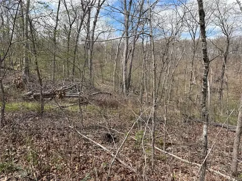 991 SE 976 Rd, Deepwater, MO 64740 photo 57