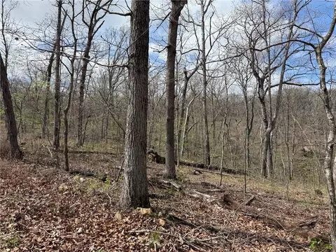 991 SE 976 Rd, Deepwater, MO 64740 photo 56