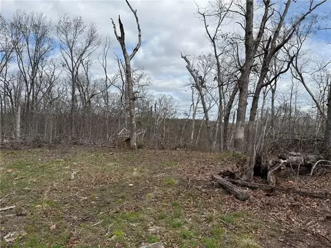 991 SE 976 Rd, Deepwater, MO 64740 photo 64