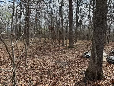 991 SE 976 Rd, Deepwater, MO 64740 photo 51