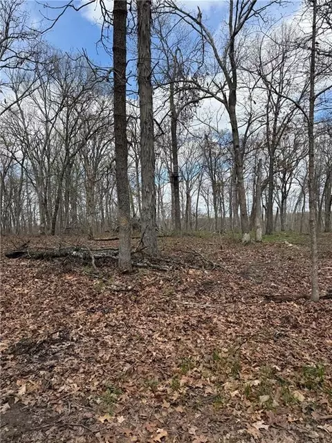 991 SE 976 Rd, Deepwater, MO 64740 photo 62