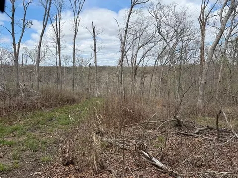 991 SE 976 Rd, Deepwater, MO 64740 photo 65