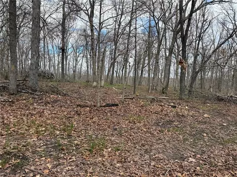 991 SE 976 Rd, Deepwater, MO 64740 photo 61