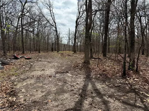991 SE 976 Rd, Deepwater, MO 64740 photo 50