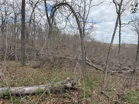 991 SE 976 Rd, Deepwater, MO 64740 photo 59