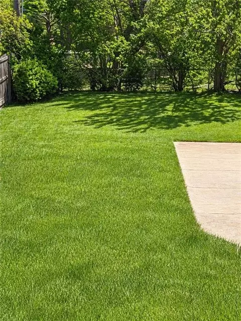 904 SE 3rd Ter, Lees Summit, MO 64063 photo 7