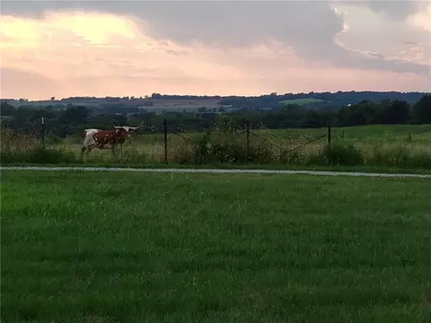 Other - 11683 Highway Ff, Mayview, MO 64071 photo 9 of 23