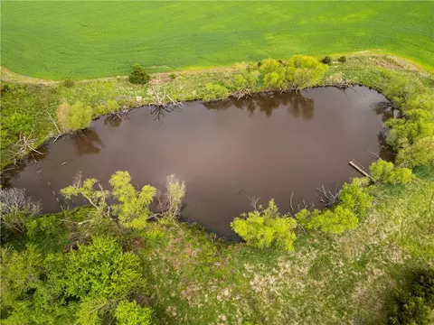 49 NW 100th Rd, Sheldon, MO 64784 photo 14