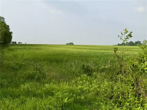 49 NW 100th Rd, Sheldon, MO 64784 photo 34