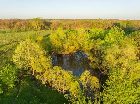 View/Area - 719 NW 871st Rd, Centerview, MO 64019 photo 10 of 27
