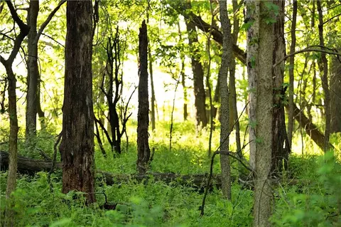 Dd Highway, Gallatin, MO 64640 photo 27