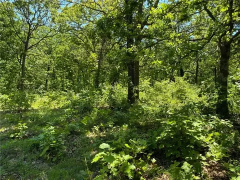 Other - 33486 7 Hwy, Edwards, MO 65326 photo 35 of 50