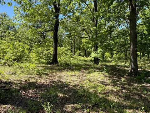 Other - 33486 7 Hwy, Edwards, MO 65326 photo 37 of 50