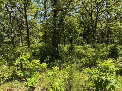 Other - 33486 7 Hwy, Edwards, MO 65326 photo 40 of 50