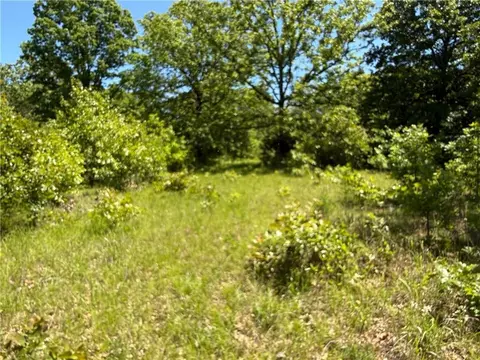 Other - 33486 7 Hwy, Edwards, MO 65326 photo 29 of 50