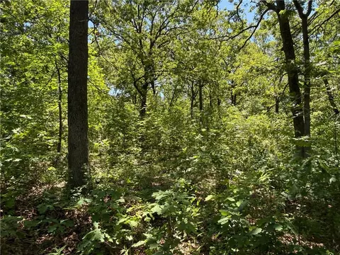 Other - 33486 7 Hwy, Edwards, MO 65326 photo 47 of 50