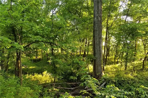 000 A Hwy, Spickard, MO 64679 photo 52