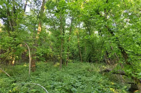 000 A Hwy, Spickard, MO 64679 photo 56