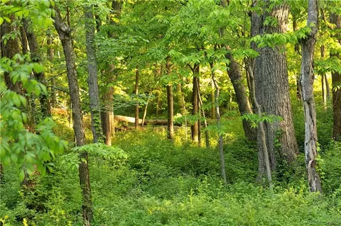 000 A Hwy, Spickard, MO 64679 photo 55
