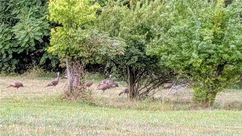 Other - 29706 Easley Rd, Lees Summit, MO 64086 photo 25 of 33