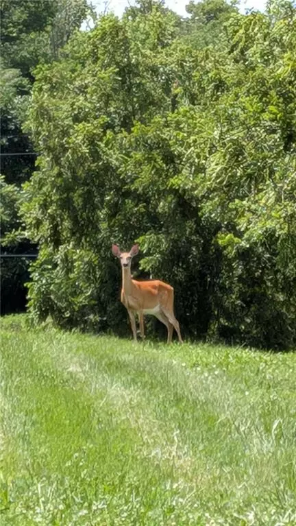 Other - 29706 Easley Rd, Lees Summit, MO 64086 photo 28 of 33