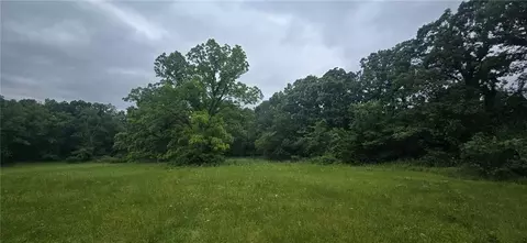 12668 E Panama Rd, Nevada, MO 64772 photo 6