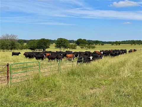 Other - 26096 E Hwy Hwy, Milo, MO 64767 photo 11 of 22