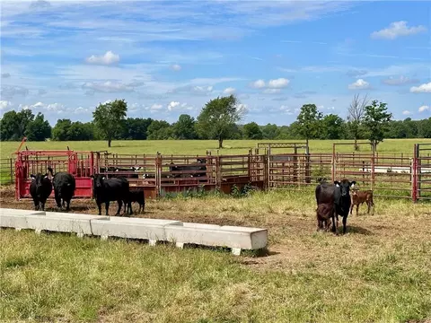 Exterior - 26096 E Hwy Hwy, Milo, MO 64767 photo 6 of 12