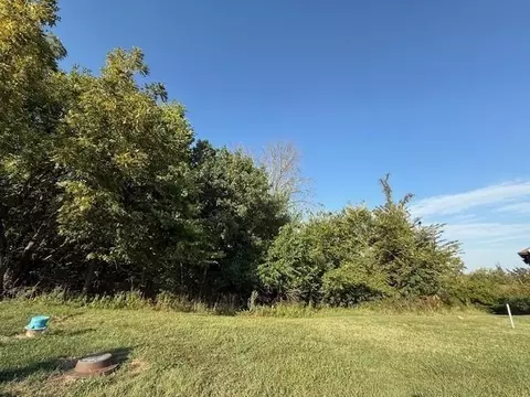 817 N Walnut Ln, Lone Jack, MO 64070 photo 3