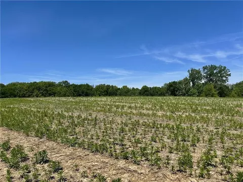 E Colbern Road, Lone Jack, MO 64070 photo 2