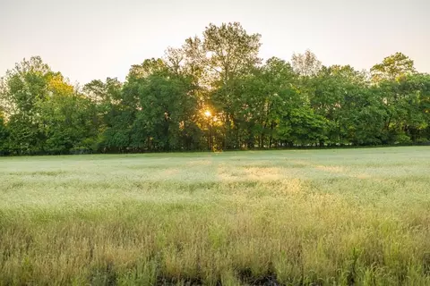 40801 E Route B Rd, Creighton, MO 64739 photo 30