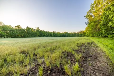 40801 E Route B Rd, Creighton, MO 64739 photo 31