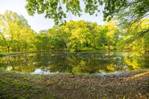 40801 E Route B Rd, Creighton, MO 64739 photo 43