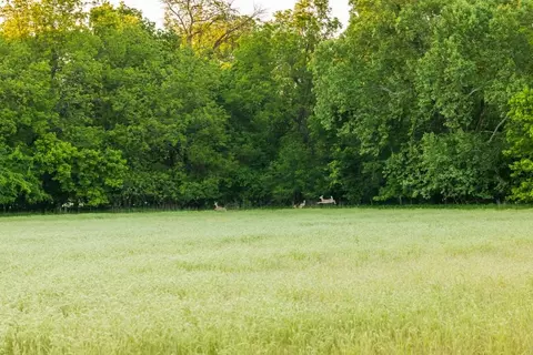 40801 E Route B Rd, Creighton, MO 64739 photo 25