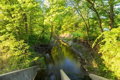 40801 E Route B Rd, Creighton, MO 64739 photo 41
