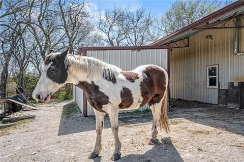 Other - 33421 Mcclellen Rd, Drexel, MO 64742 photo 15 of 18