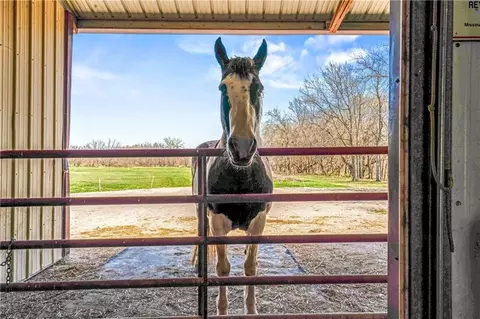 Other - 33421 Mcclellen Rd, Drexel, MO 64742 photo 14 of 18