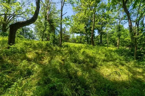 22112 Eureka Rd, Independence, MO 64057 photo 6