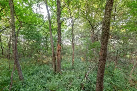 Other - 33200 E Hammond Rd, Lone Jack, MO 64070 photo 19 of 20