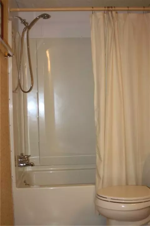 Bath - 208 SE 10212 P Ln, Deepwater, MO 64740 photo 2 of 4