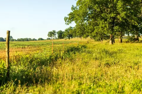 Other - 662 W 6th St, Schell City, MO 64783 photo 20 of 36
