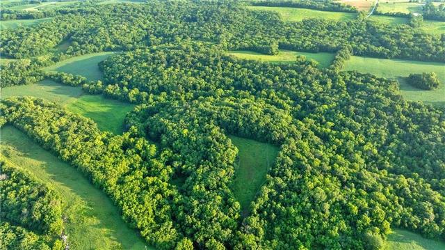 Nw Of Waller Road, Richmond, MO 64085