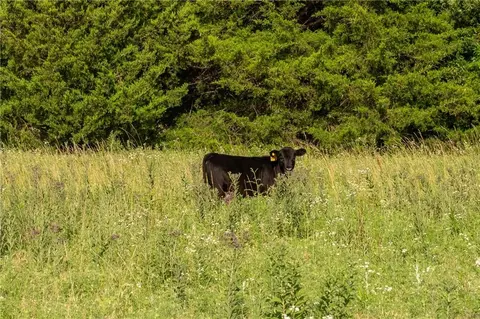 134 Haskell Rd, Quenemo, KS 66528 photo 8